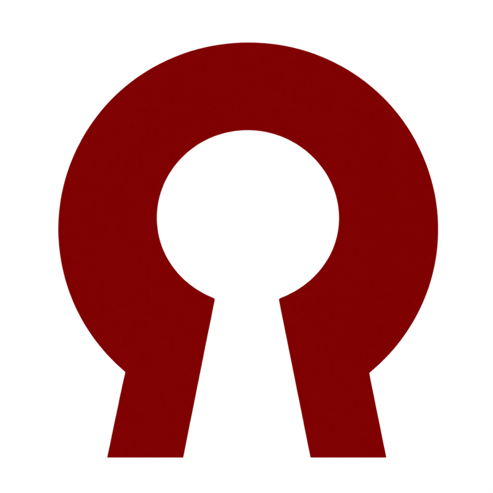 OPENVPN icon