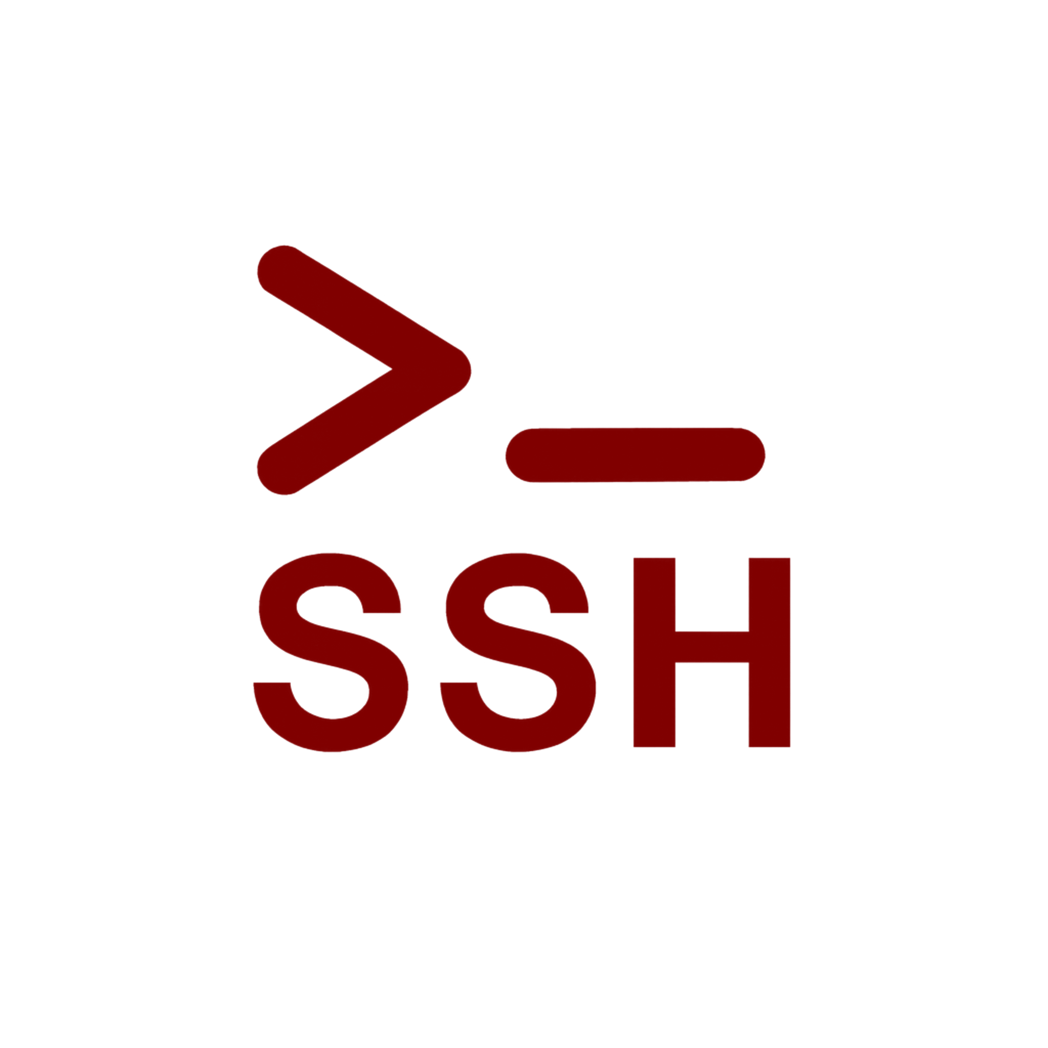 SSH icon